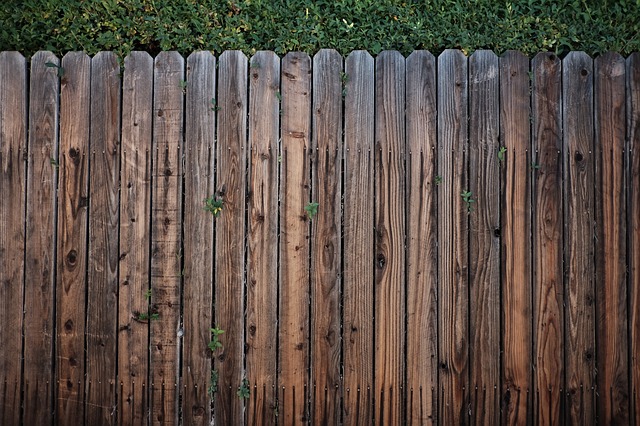 fence-1838771_640